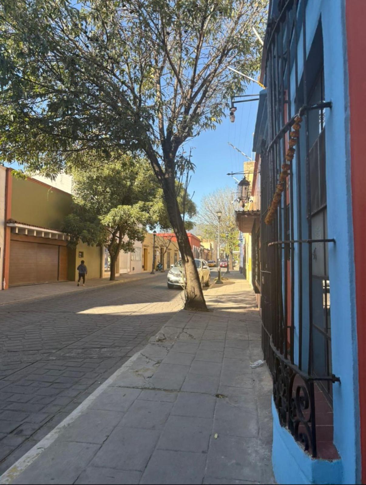 Casa Oaxaca别墅 外观 照片